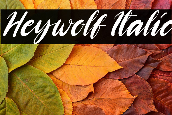 Heywolf Italic Example 3