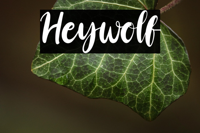 Heywolf Example 1