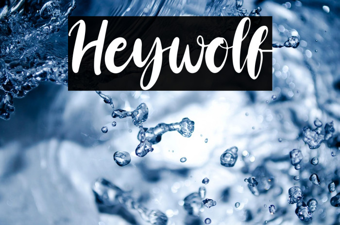 Heywolf Example 2