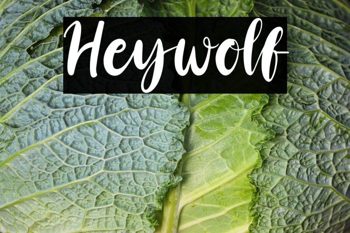 Heywolf Example 1