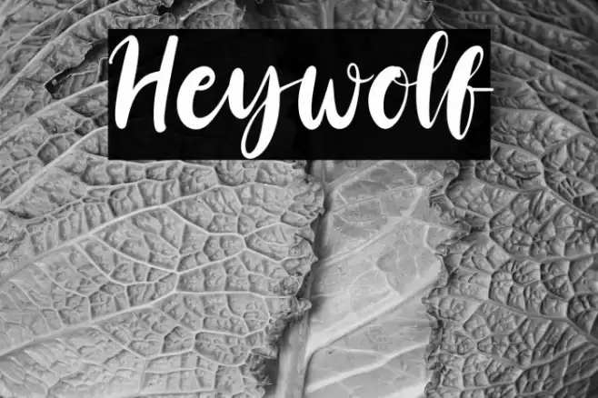 Heywolf Font examples