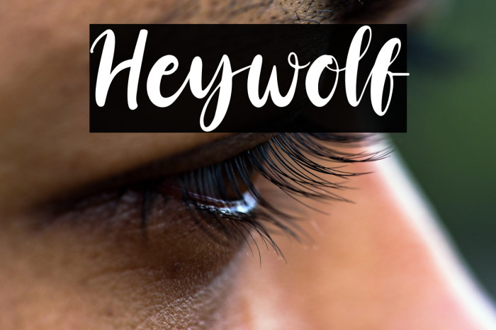Heywolf Example 2