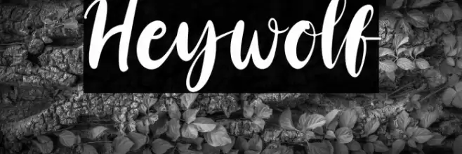 Heywolf Font examples