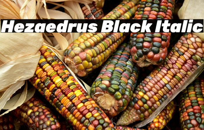 Hezaedrus Black Italic Example 1