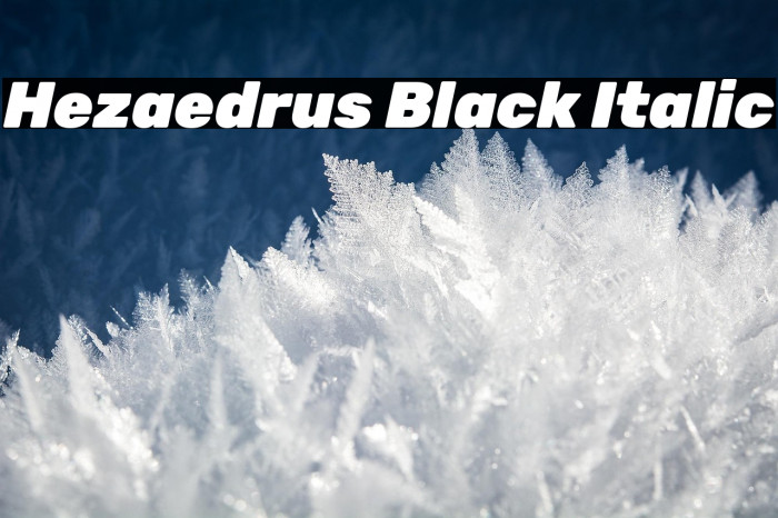 Hezaedrus Black Italic Example 3