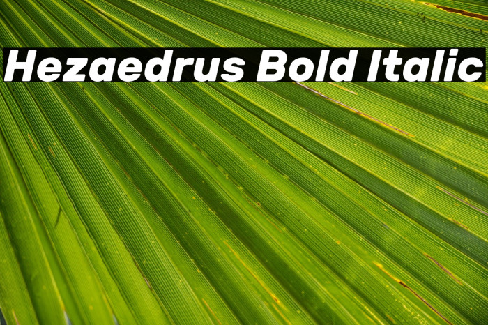 Hezaedrus Bold Italic Example 3
