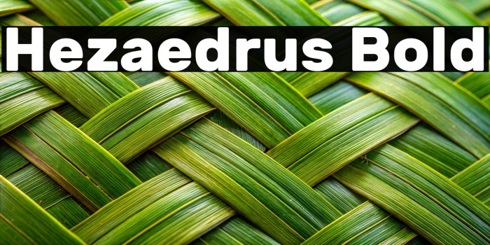 Hezaedrus Bold Example 1