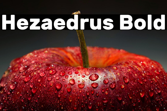 Hezaedrus Bold Example 2