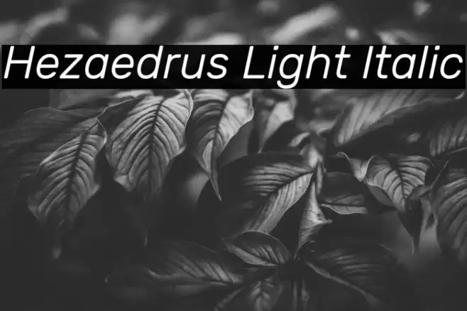 Hezaedrus Light Italic Font examples