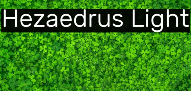 Hezaedrus Light Example 1