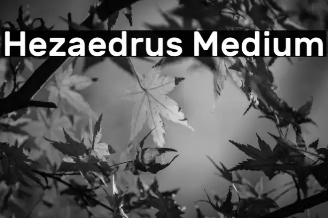 Hezaedrus Medium Font examples
