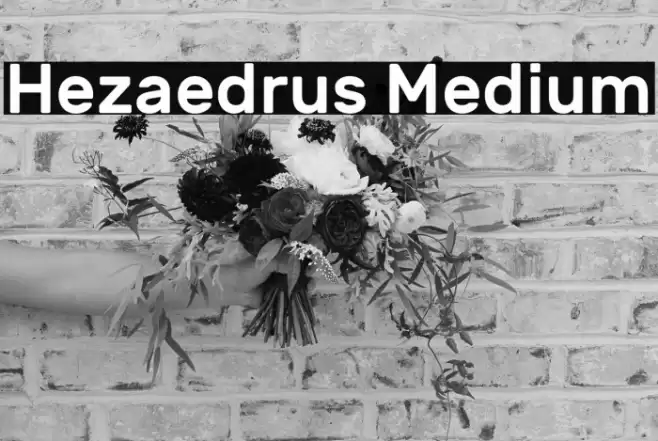 Hezaedrus Medium Font examples