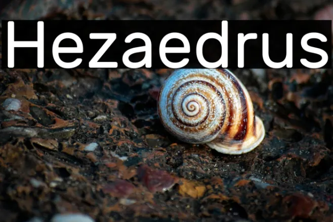 Hezaedrus Example 2