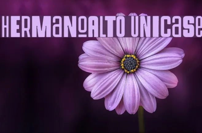 hErMaNoAlTO UnIcaSe Example 2