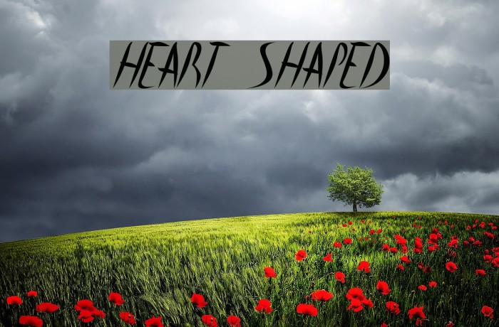 heart shaped Example 2