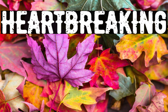 heartbreaking Example 1
