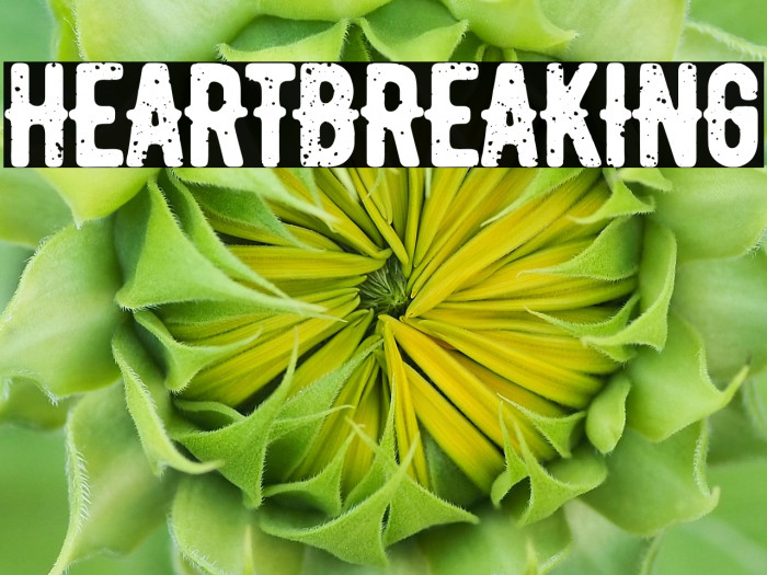 heartbreaking Example 2