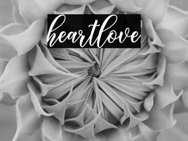 heartlove Font examples