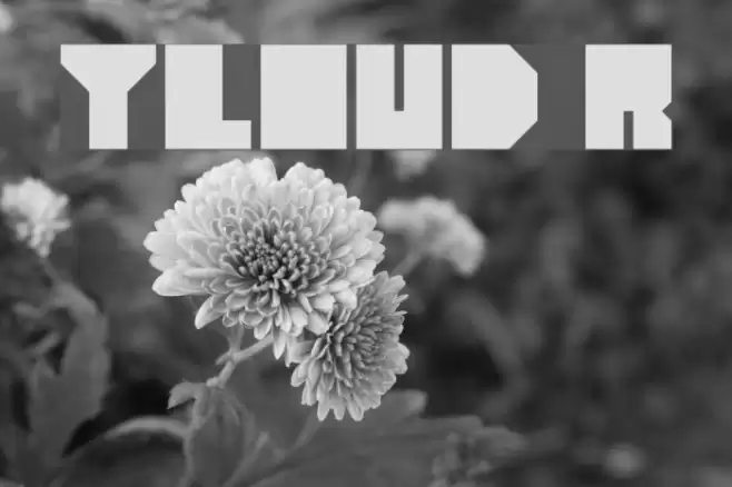 heavyLOUDedge Regular Font examples