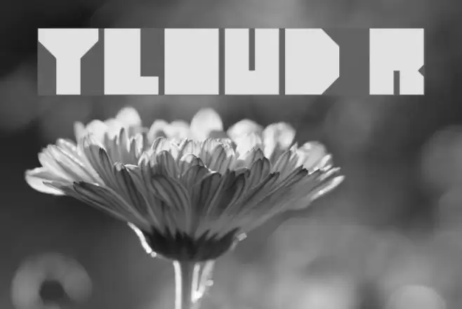 heavyLOUDedge Regular Font examples