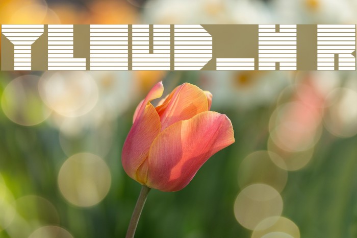 heavyLOUDedge_lineH Regular Font examples