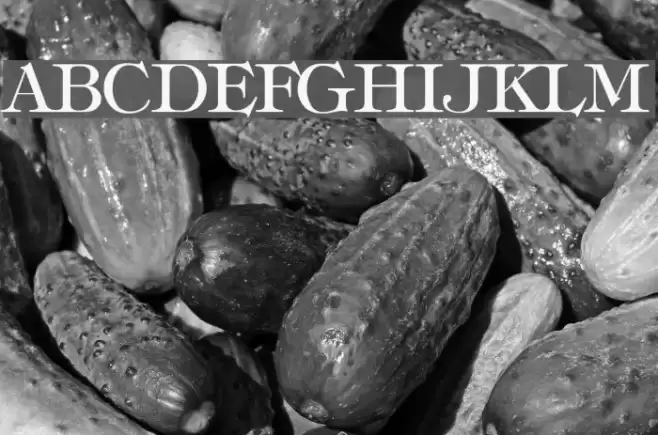 hebrew Font examples