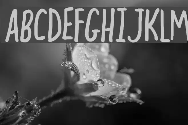 hectic Font examples