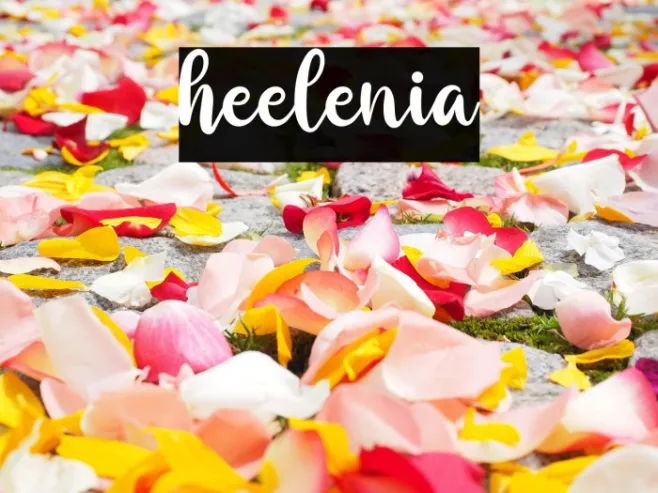 heelenia Example 2