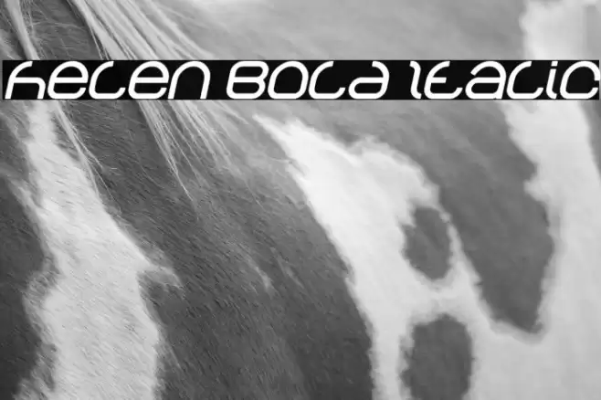 helen Bold Italic Font examples