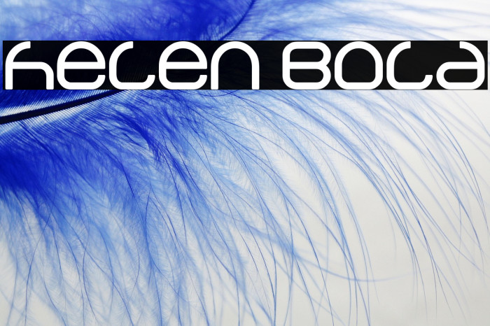 helen Bold Example 2