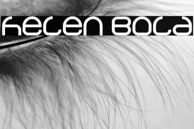 helen Bold Font examples