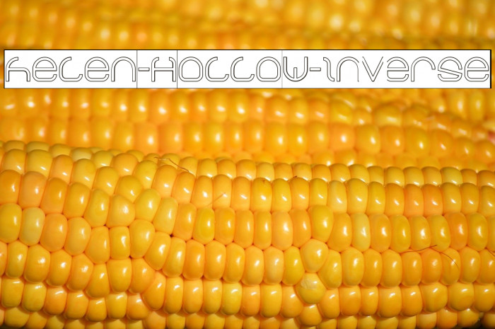 helen-Hollow-Inverse Example 3