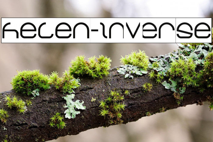 helen-Inverse Example 1