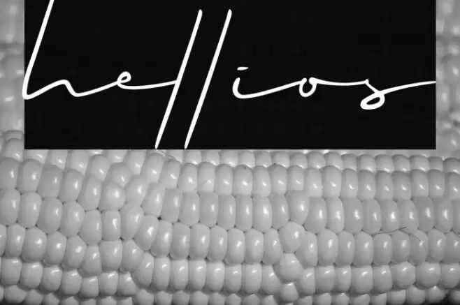 hellios Polices examples