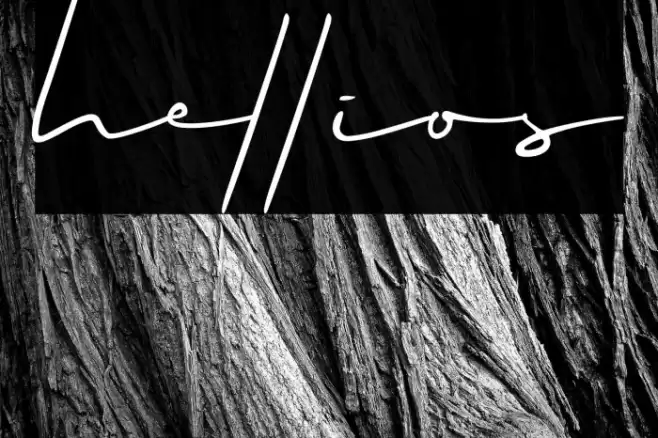 hellios Polices examples