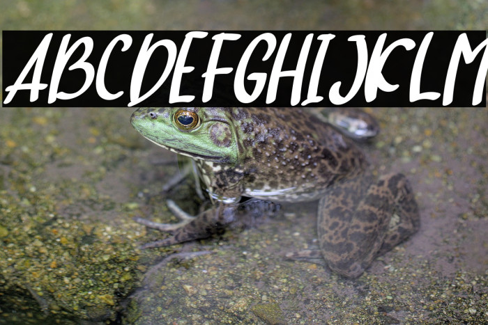 hello baby Italic Example 1