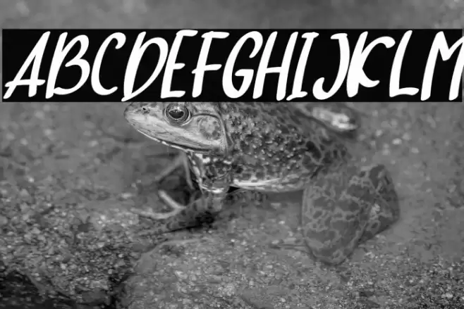 hello baby Italic Font examples