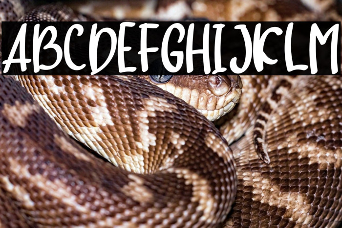 hello baby Example 3