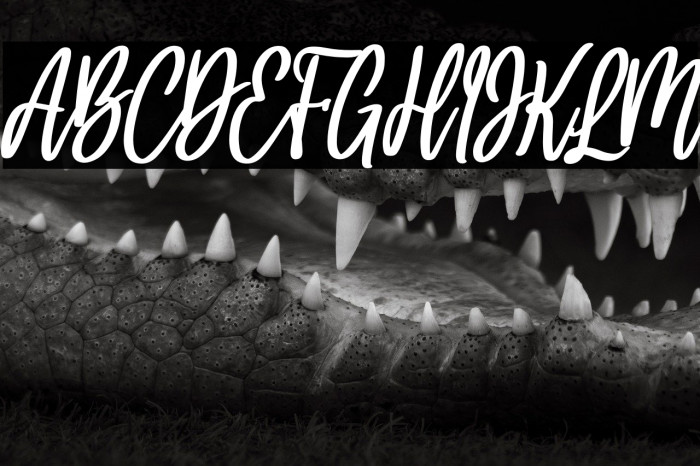 hello bella bold italic Bold Italic Example 1