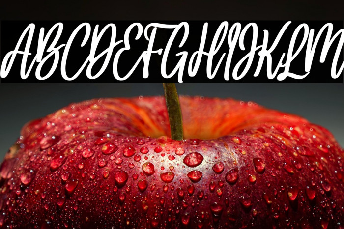 hello bella bold italic Bold Italic Example 3