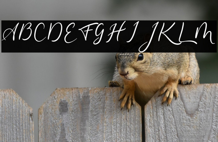 hello cello Example 3