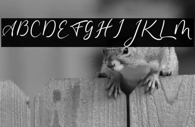 hello cello Font examples