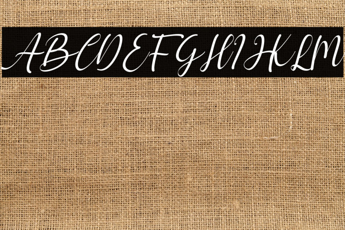 hello chamelia Italic Example 1