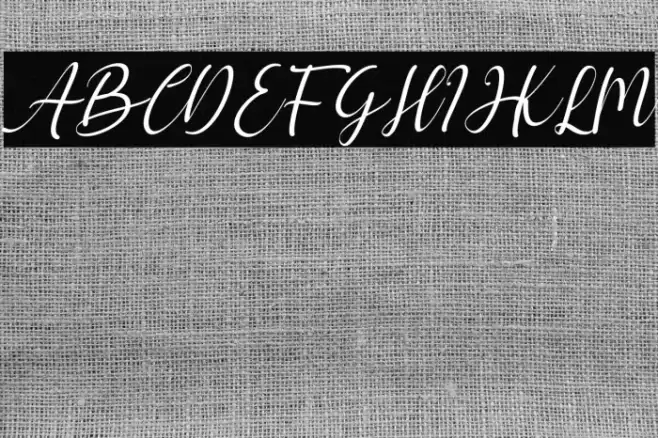 hello chamelia Italic Font examples