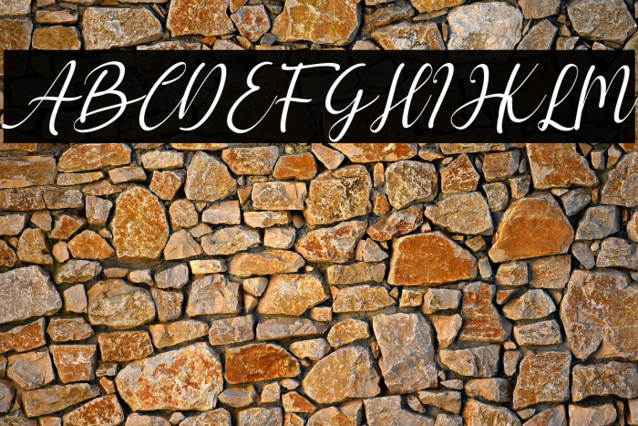 hello chamelia Italic Example 2