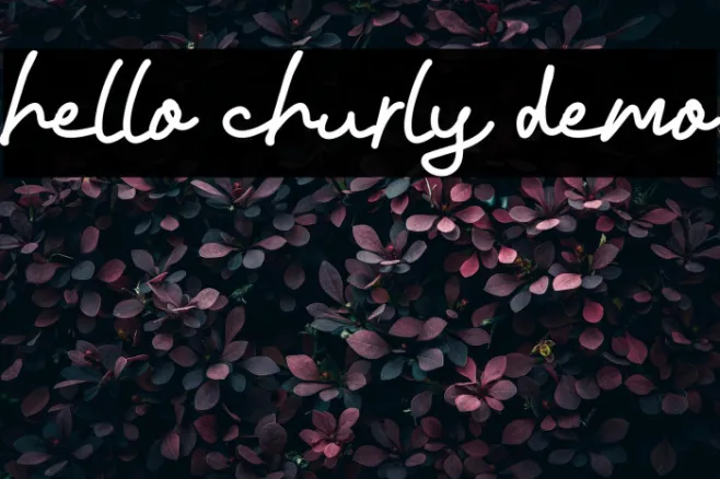 hello churly demo Example 1