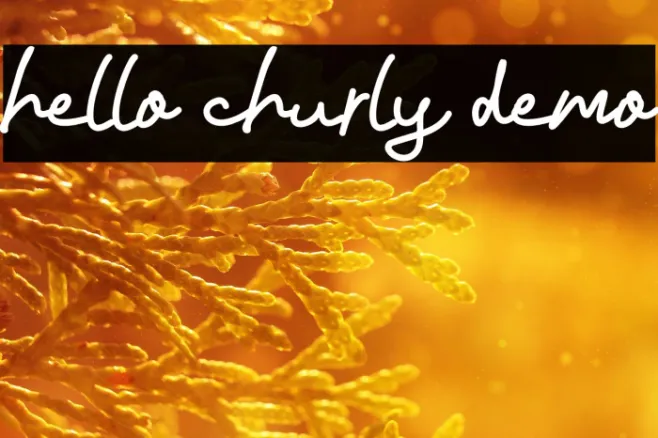 hello churly demo Example 3