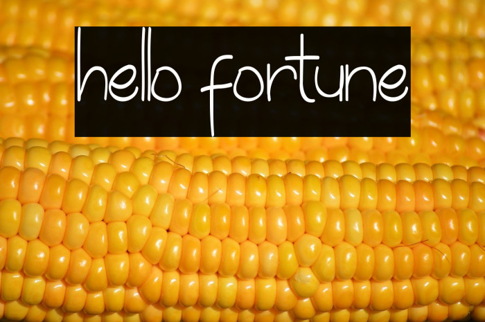 hello fortune Example 1