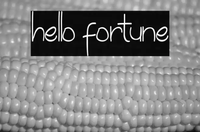 hello fortune Font examples