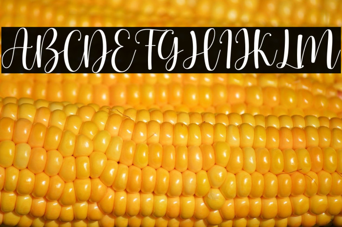 hello honey - Personal Use Example 1